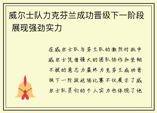 威尔士队力克芬兰成功晋级下一阶段 展现强劲实力