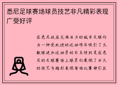 悉尼足球赛场球员技艺非凡精彩表现广受好评